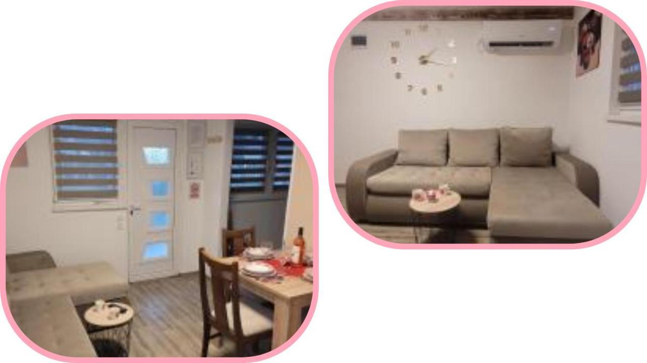 Apartmani Apolon Vrdnik Exterior foto