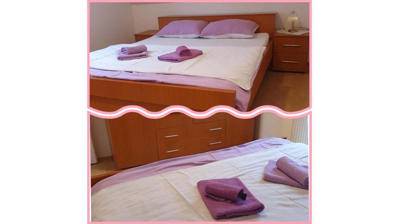 Apartmani Apolon Vrdnik Exterior foto